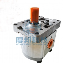 CBN Gear Pump