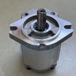 CBW- F300 gear oil pump