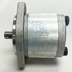 casappa Gear Pump